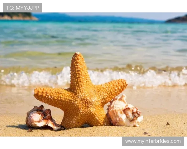 海星体育真人游戏客服支持，全天候解答你的疑问与问题